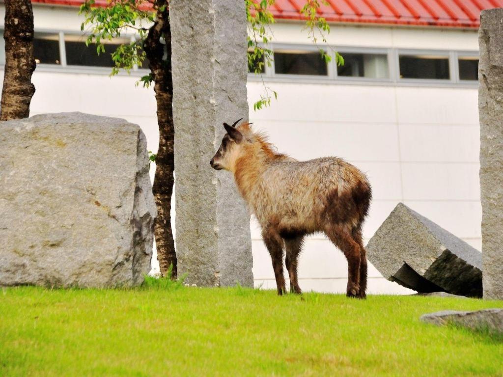 Tateyama Kokusai Hotel Toyama Ngoại thất bức ảnh