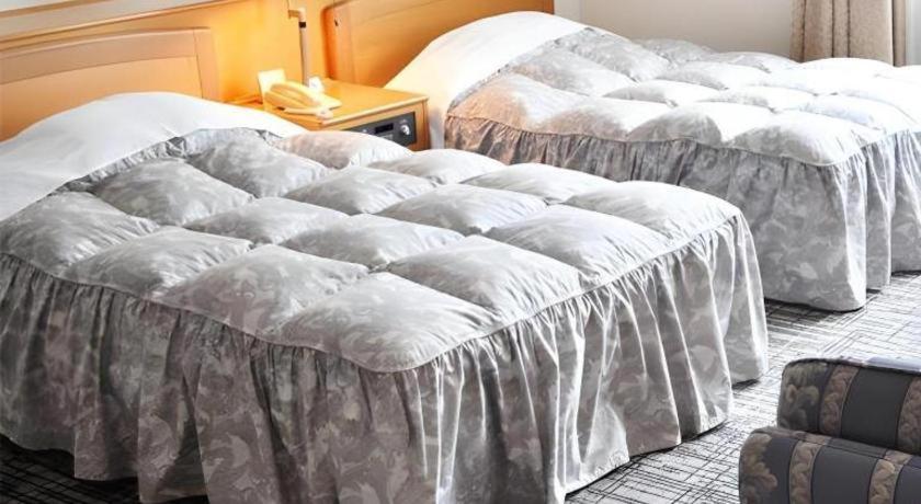 Tateyama Kokusai Hotel Toyama Ngoại thất bức ảnh